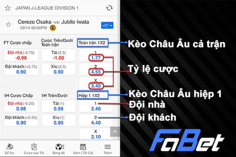 Phát triển nhà cái đấu nối API Phát triển nhà cái đấu nối API